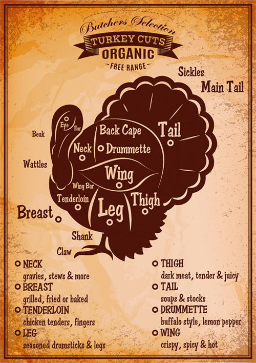 Parts of a turkey and their culinary uses