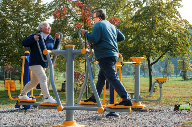 Seniors using outdoor fitness area