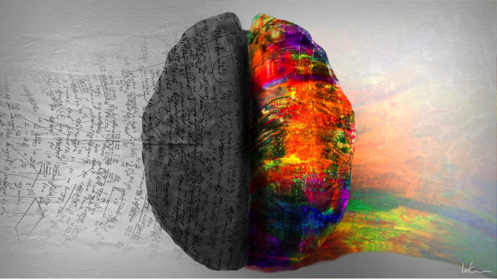 A brain with the left side as gray and the right side as colorful.