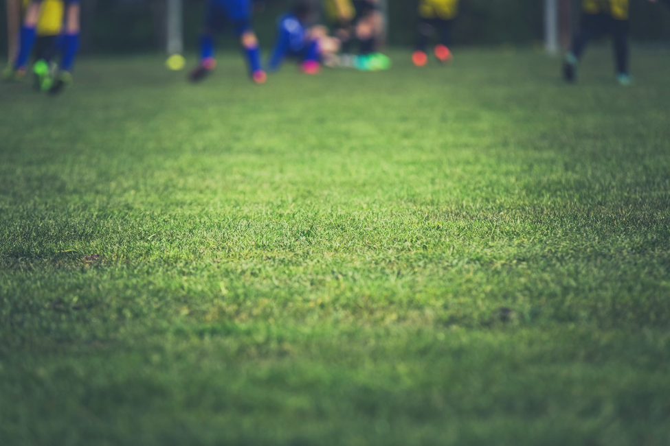 Soccer field close-up of grass. 