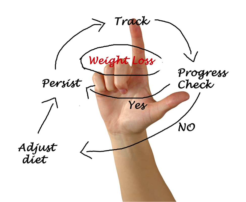 Cycle showing how to track and measure realistic weight loss goals to learn how to achieve weight loss goals