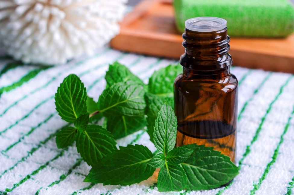 Bottle of peppermint essential oil next to mint leaves.