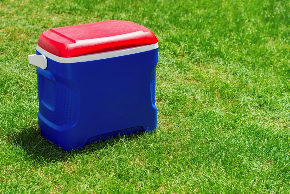 Cooler in grass to help you pack and prepare for a healthy tailgating experience.