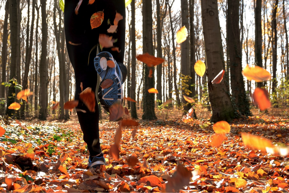 Person running through trees as a fall fitness idea.