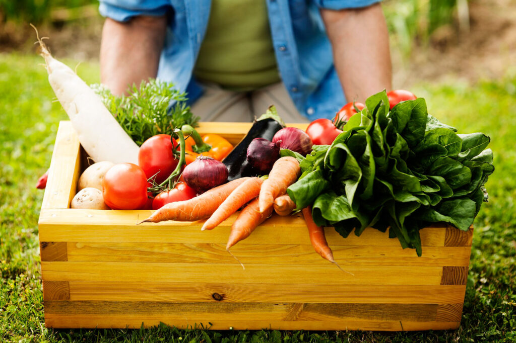 Wooden box of fresh produce in front of person as example of gardening health benefits.