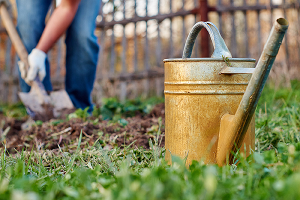 Close up of rusty watering can with person shoveling through dirt in the background.