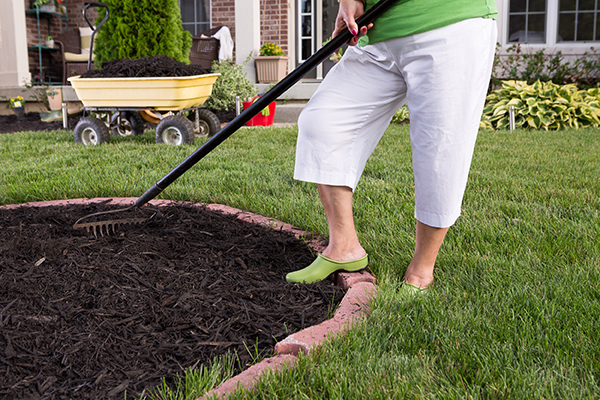 Close up of woman holding a gardening tool to spread mulch for a health garden.