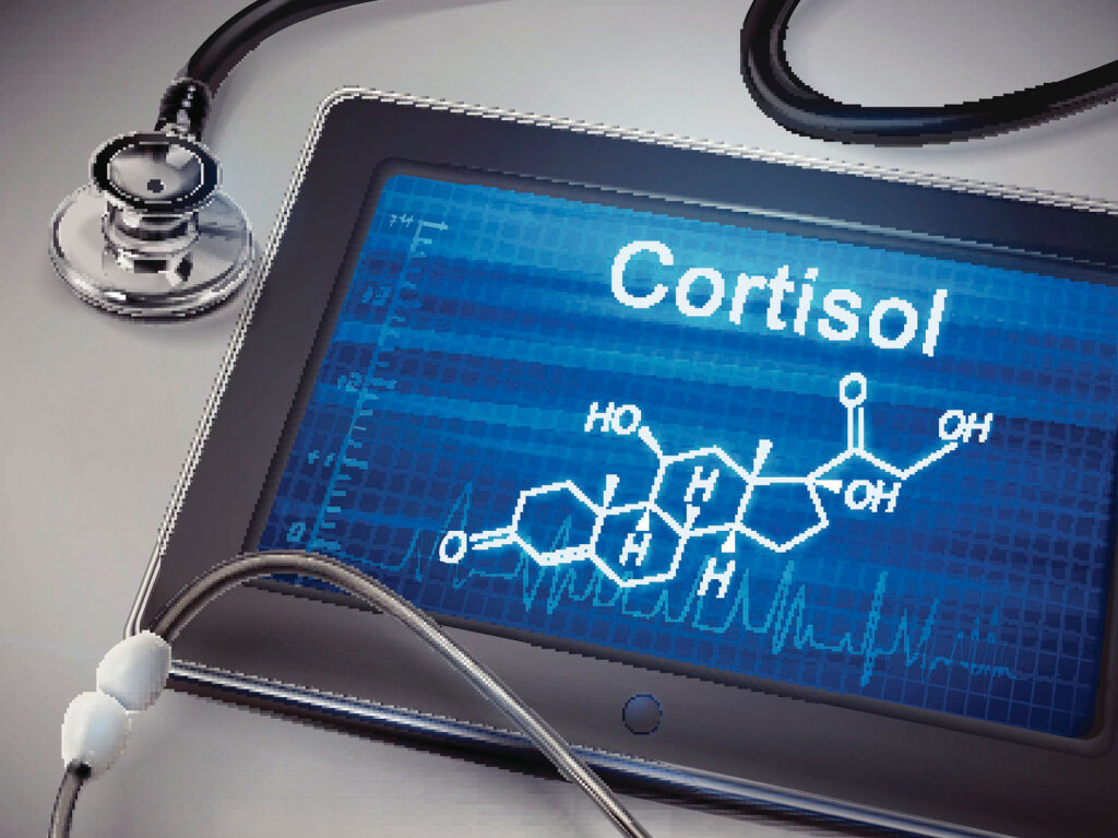 Stethoscope around tablet with Cortisol structural model.