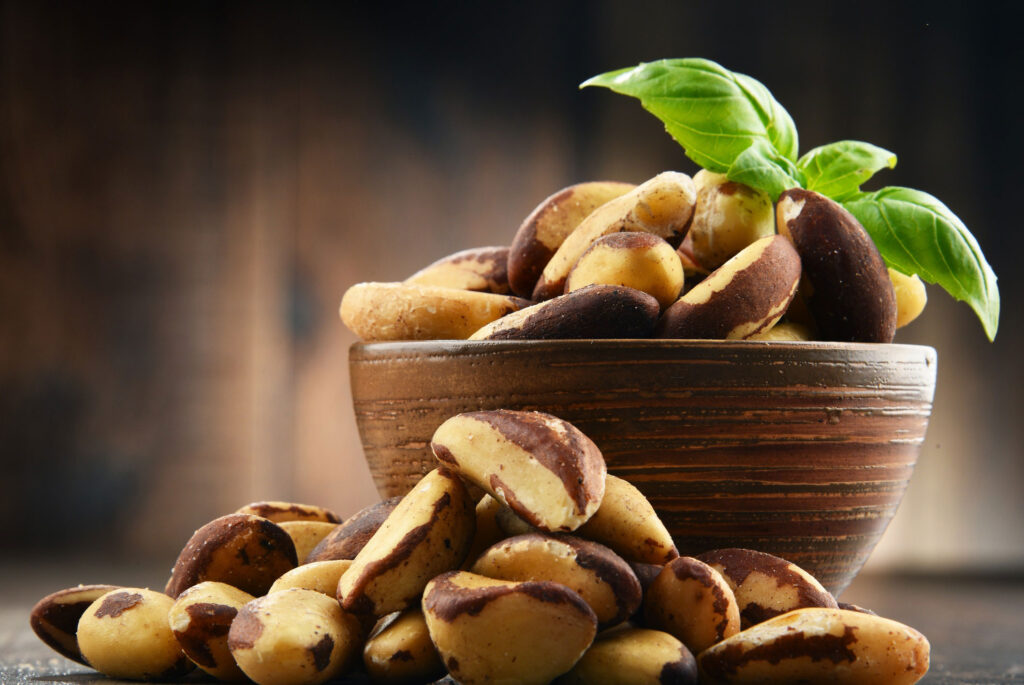 Brazil nuts sit around a brown bowl filled with more brazil nuts and a green sprig.