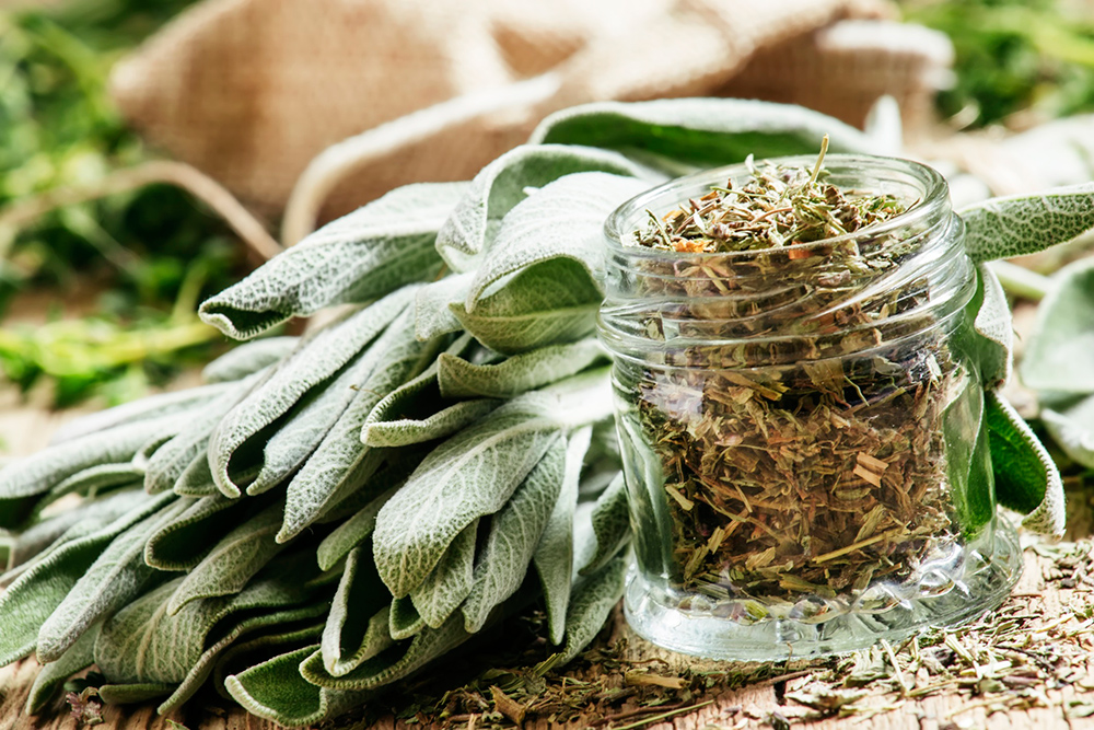 A glass jar of cut-up sage near a bundle of sage leaves.